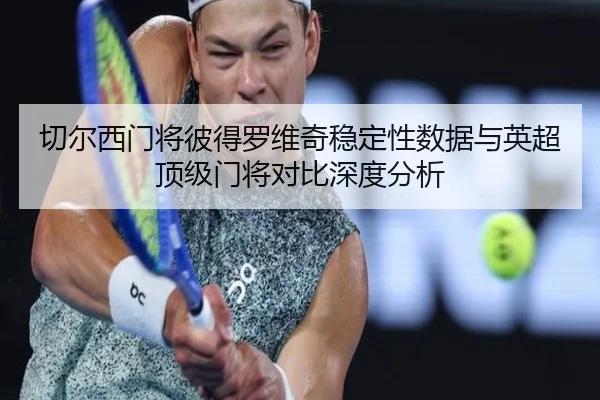 切尔西门将彼得罗维奇稳定性数据与英超顶级门将对比深度分析